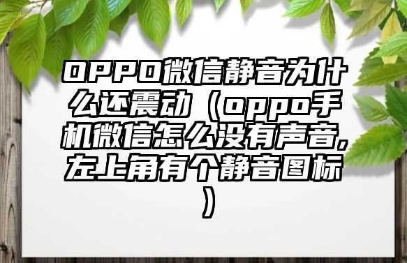 OPPO微信靜音為什么還震動(dòng)（oppo手機(jī)微信怎么沒(méi)有聲音,左上角有個(gè)靜音圖標(biāo)）