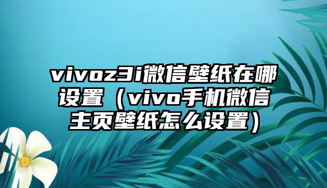 vivoz3i微信壁紙在哪設(shè)置（vivo手機微信主頁壁紙怎么設(shè)置）