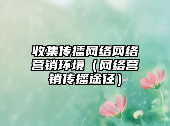 收集傳播網(wǎng)絡(luò)網(wǎng)絡(luò)營(yíng)銷環(huán)境（網(wǎng)絡(luò)營(yíng)銷傳播途徑）