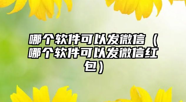 哪個軟件可以發(fā)微信（哪個軟件可以發(fā)微信紅包）