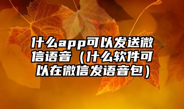 什么app可以發(fā)送微信語(yǔ)音（什么軟件可以在微信發(fā)語(yǔ)音包）