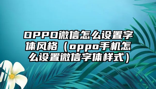 OPPO微信怎么設(shè)置字體風(fēng)格（oppo手機(jī)怎么設(shè)置微信字體樣式）