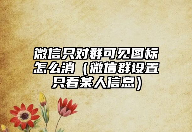 微信只對群可見圖標(biāo)怎么消（微信群設(shè)置只看某人信息）