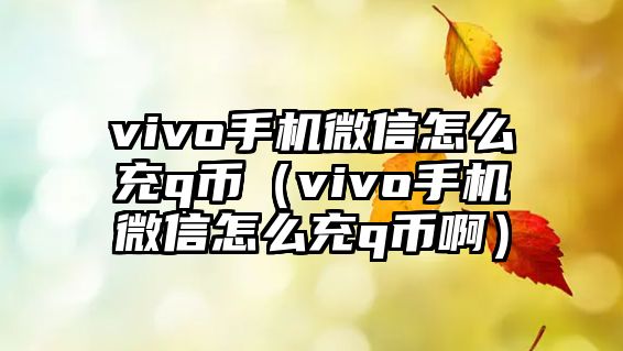 vivo手機(jī)微信怎么充q幣（vivo手機(jī)微信怎么充q幣啊）