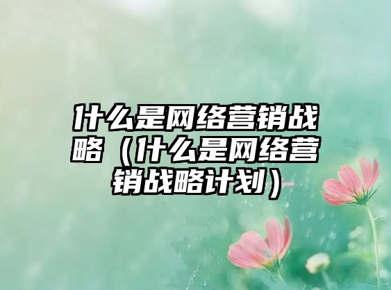 什么是網(wǎng)絡(luò)營(yíng)銷(xiāo)戰(zhàn)略（什么是網(wǎng)絡(luò)營(yíng)銷(xiāo)戰(zhàn)略計(jì)劃）