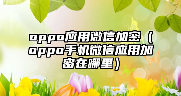 oppo應(yīng)用微信加密（oppo手機微信應(yīng)用加密在哪里）