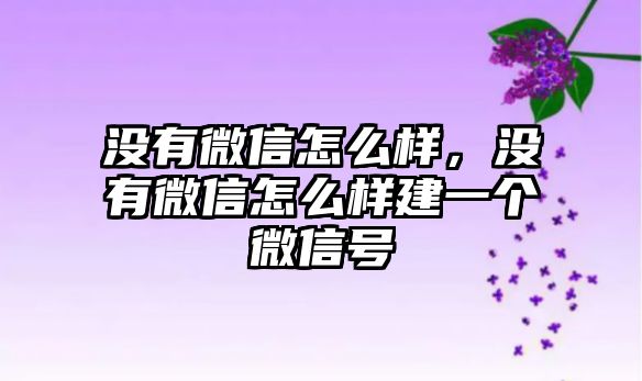 沒有微信怎么樣，沒有微信怎么樣建一個(gè)微信號(hào)