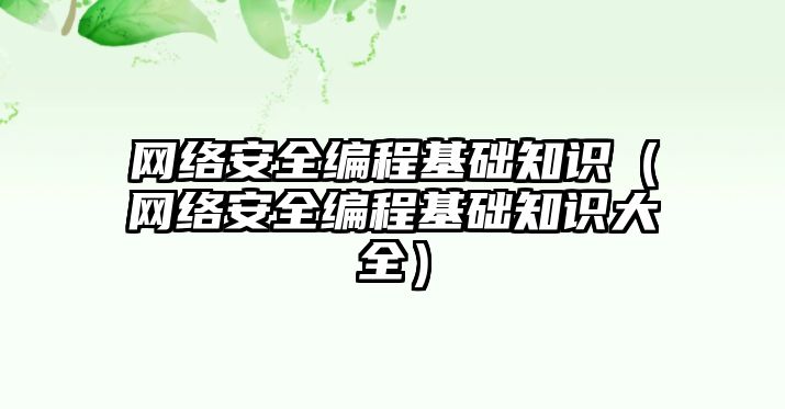 網(wǎng)絡(luò)安全編程基礎(chǔ)知識(shí)（網(wǎng)絡(luò)安全編程基礎(chǔ)知識(shí)大全）