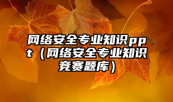 網(wǎng)絡(luò)安全專業(yè)知識ppt（網(wǎng)絡(luò)安全專業(yè)知識競賽題庫）