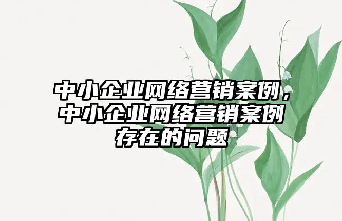 中小企業(yè)網(wǎng)絡(luò)營銷案例，中小企業(yè)網(wǎng)絡(luò)營銷案例存在的問題