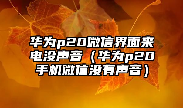 華為p20微信界面來(lái)電沒(méi)聲音（華為p20手機(jī)微信沒(méi)有聲音）