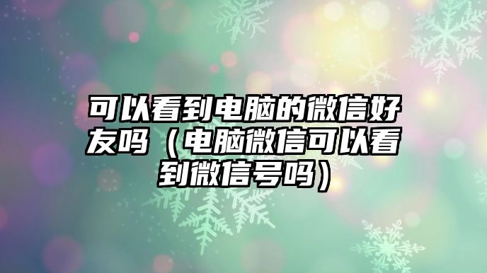 可以看到電腦的微信好友嗎（電腦微信可以看到微信號(hào)嗎）