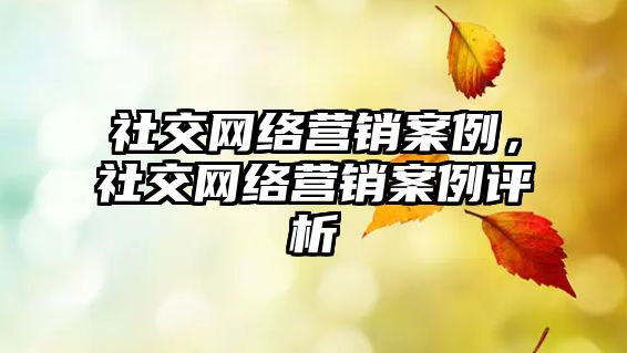 社交網(wǎng)絡營銷案例，社交網(wǎng)絡營銷案例評析