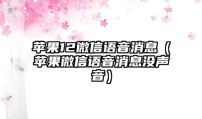 蘋果12微信語音消息（蘋果微信語音消息沒聲音）