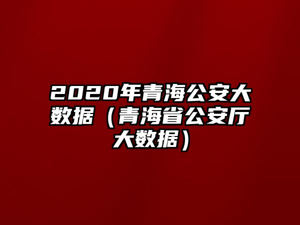 2020年青海公安大數(shù)據(jù)（青海省公安廳大數(shù)據(jù)）