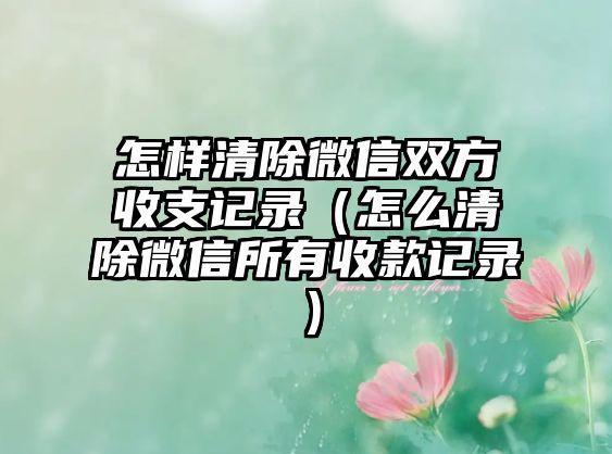 怎樣清除微信雙方收支記錄（怎么清除微信所有收款記錄）