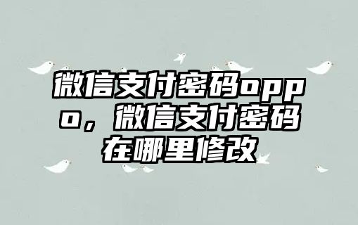 微信支付密碼oppo，微信支付密碼在哪里修改