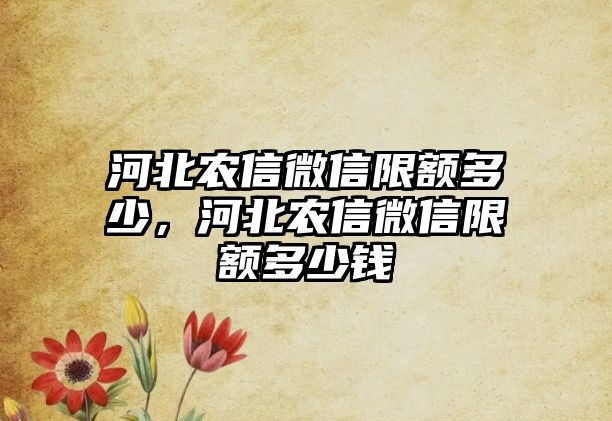 河北農(nóng)信微信限額多少，河北農(nóng)信微信限額多少錢