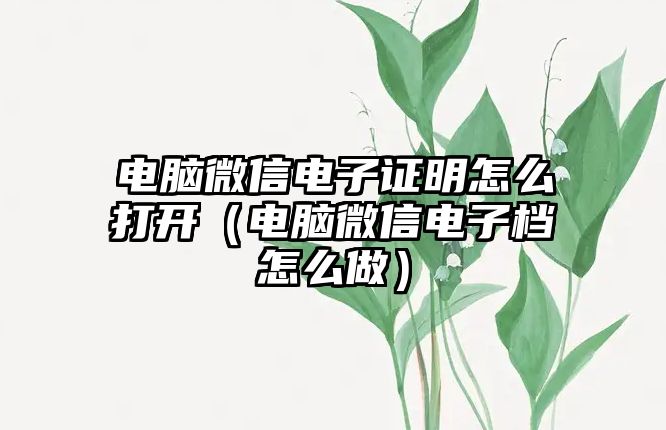 電腦微信電子證明怎么打開（電腦微信電子檔怎么做）