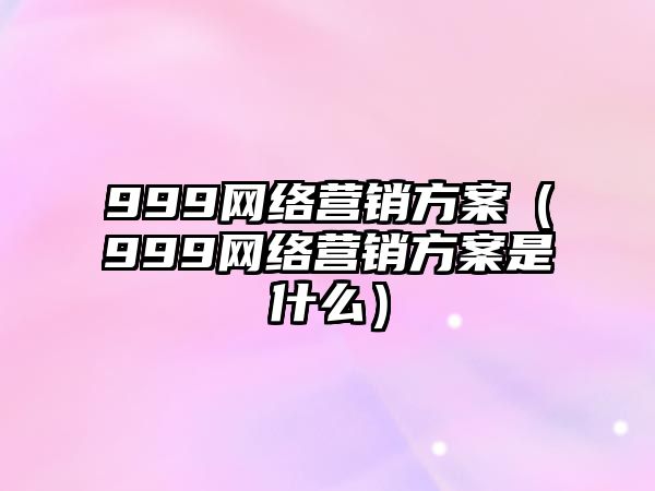 999網(wǎng)絡營銷方案（999網(wǎng)絡營銷方案是什么）