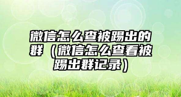 微信怎么查被踢出的群（微信怎么查看被踢出群記錄）