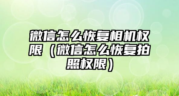 微信怎么恢復相機權限（微信怎么恢復拍照權限）