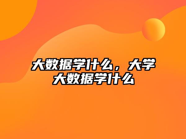 大數(shù)據(jù)學(xué)什么，大學(xué)大數(shù)據(jù)學(xué)什么