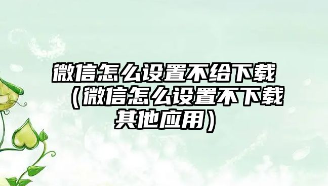 微信怎么設(shè)置不給下載（微信怎么設(shè)置不下載其他應(yīng)用）