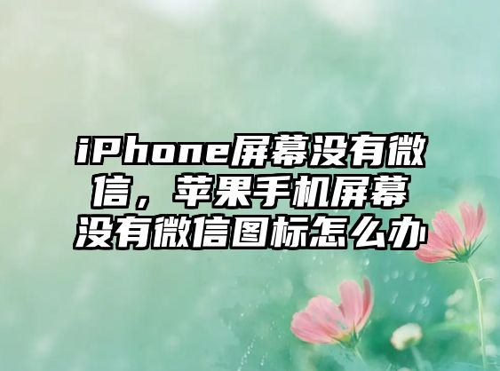 iPhone屏幕沒有微信，蘋果手機(jī)屏幕沒有微信圖標(biāo)怎么辦