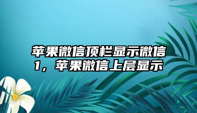 蘋果微信頂欄顯示微信1，蘋果微信上層顯示