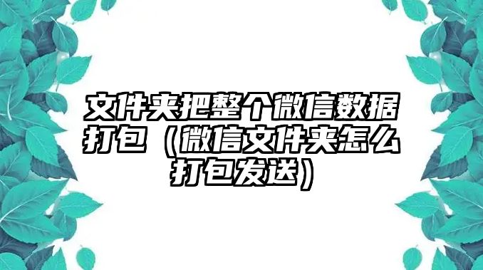 文件夾把整個微信數(shù)據(jù)打包（微信文件夾怎么打包發(fā)送）