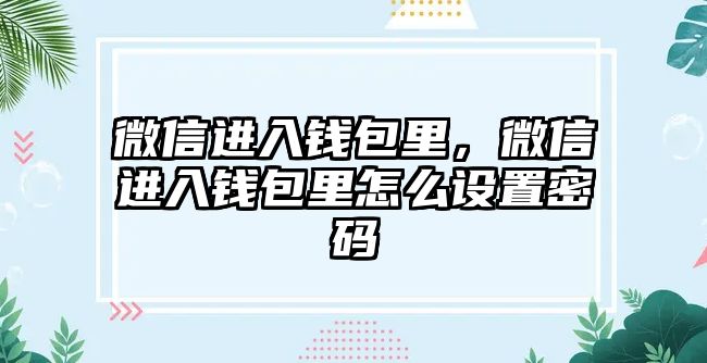 微信進入錢包里，微信進入錢包里怎么設置密碼