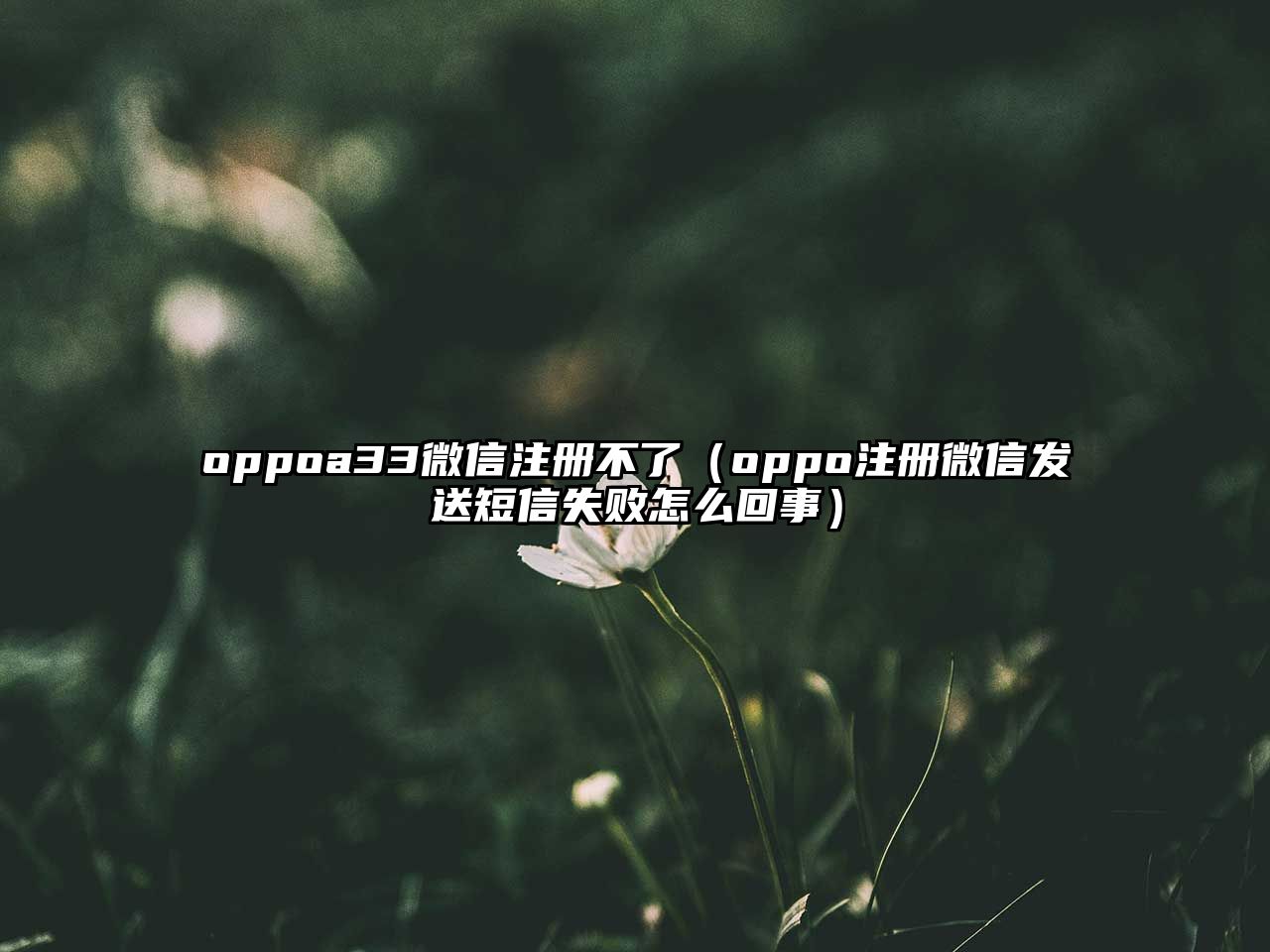 oppoa33微信注冊(cè)不了（oppo注冊(cè)微信發(fā)送短信失敗怎么回事）