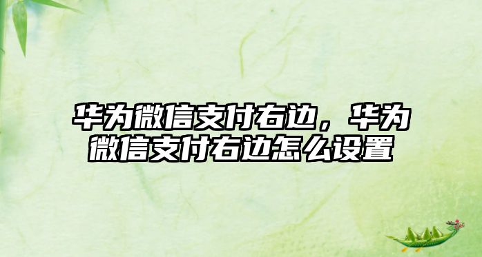 華為微信支付右邊，華為微信支付右邊怎么設置