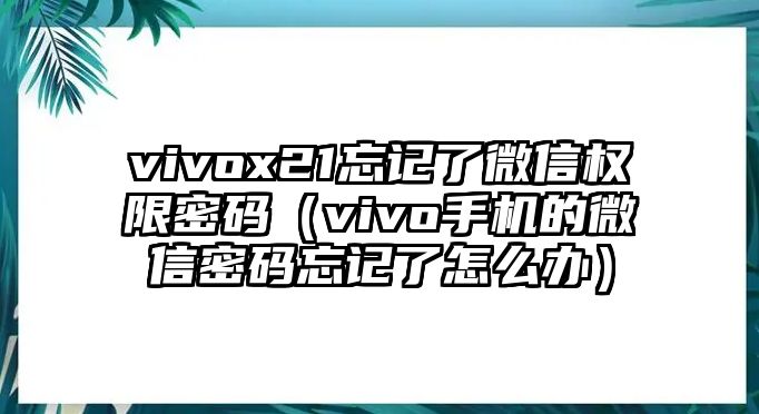 vivox21忘記了微信權(quán)限密碼（vivo手機(jī)的微信密碼忘記了怎么辦）