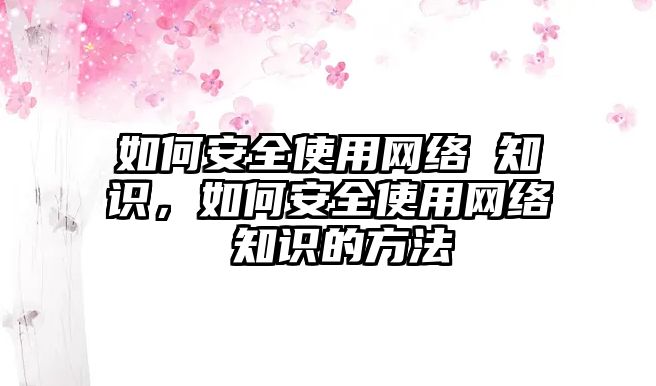 如何安全使用網絡 知識，如何安全使用網絡 知識的方法