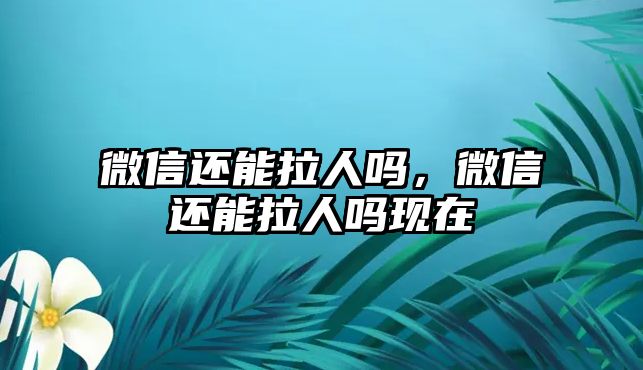 微信還能拉人嗎，微信還能拉人嗎現(xiàn)在