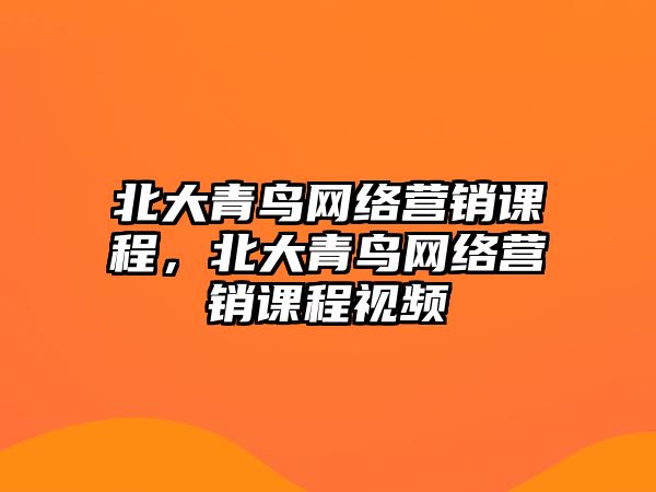 北大青鳥網(wǎng)絡營銷課程，北大青鳥網(wǎng)絡營銷課程視頻