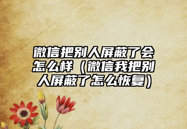 微信把別人屏蔽了會(huì)怎么樣（微信我把別人屏蔽了怎么恢復(fù)）