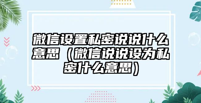 微信設(shè)置私密說說什么意思（微信說說設(shè)為私密什么意思）