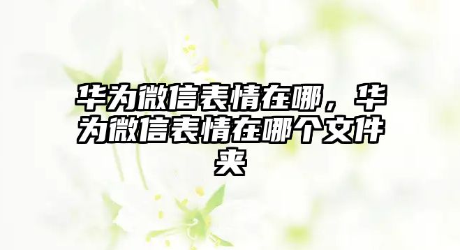 華為微信表情在哪，華為微信表情在哪個文件夾