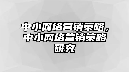 中小網(wǎng)絡營銷策略，中小網(wǎng)絡營銷策略研究