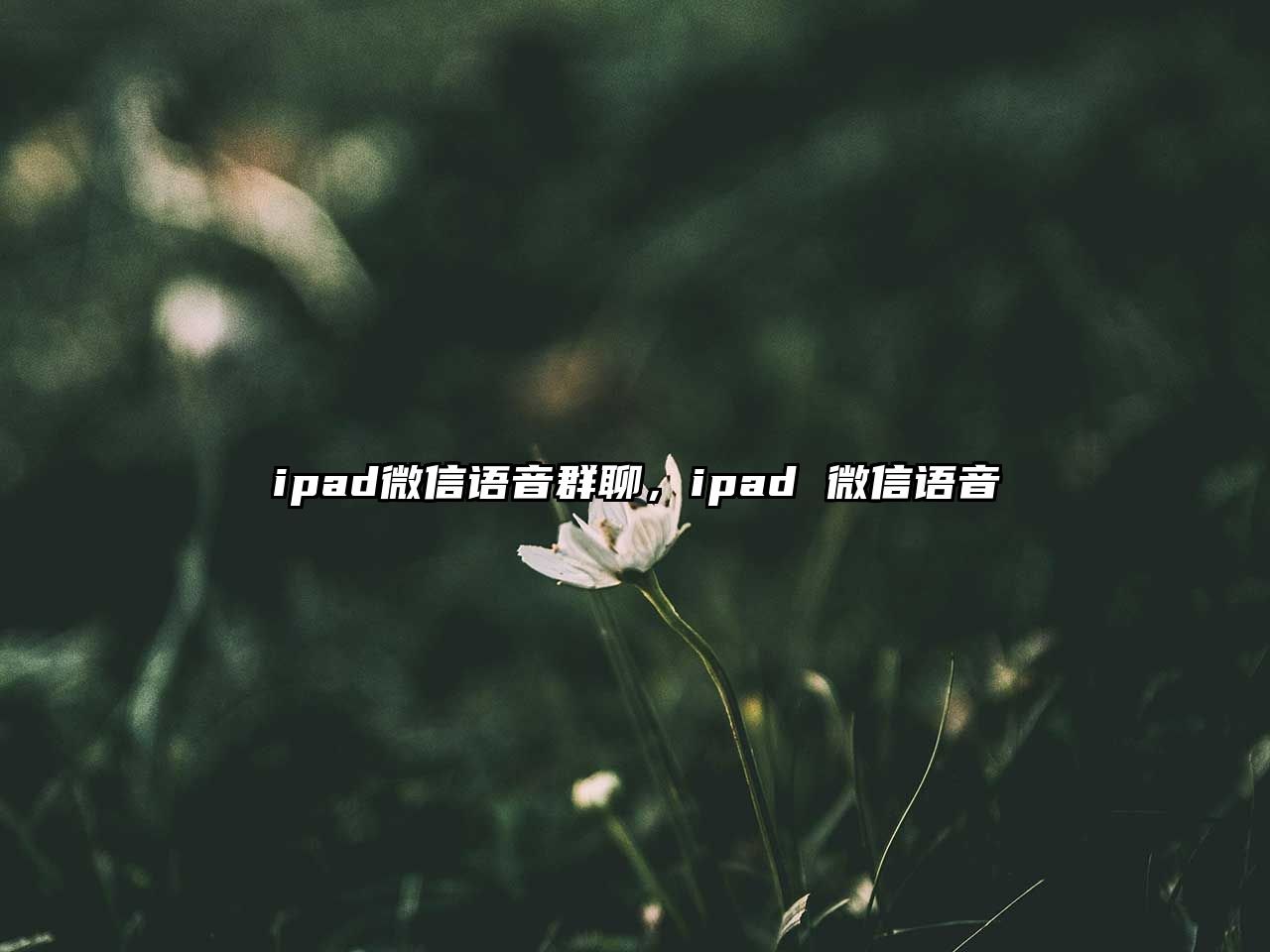 ipad微信語音群聊，ipad 微信語音