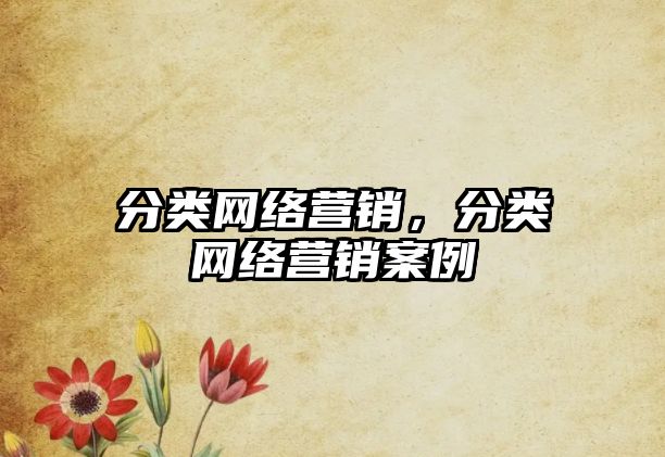 分類網(wǎng)絡營銷，分類網(wǎng)絡營銷案例