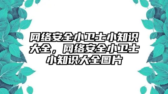 網(wǎng)絡(luò)安全小衛(wèi)士小知識(shí)大全，網(wǎng)絡(luò)安全小衛(wèi)士小知識(shí)大全圖片