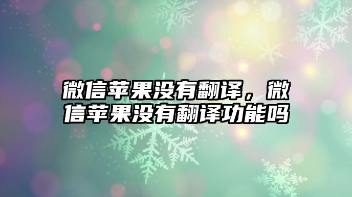 微信蘋果沒有翻譯，微信蘋果沒有翻譯功能嗎