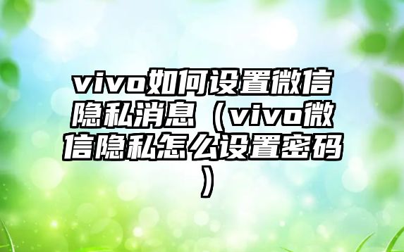 vivo如何設(shè)置微信隱私消息（vivo微信隱私怎么設(shè)置密碼）