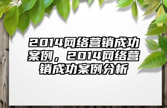 2014網(wǎng)絡(luò)營(yíng)銷成功案例，2014網(wǎng)絡(luò)營(yíng)銷成功案例分析