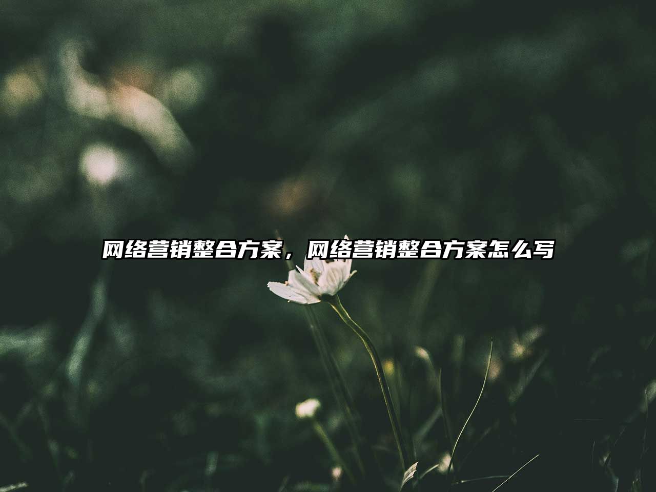 網(wǎng)絡營銷整合方案，網(wǎng)絡營銷整合方案怎么寫