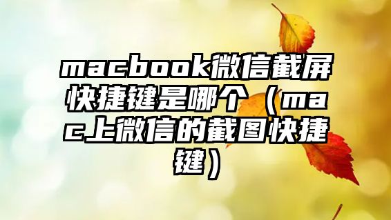 macbook微信截屏快捷鍵是哪個(gè)（mac上微信的截圖快捷鍵）